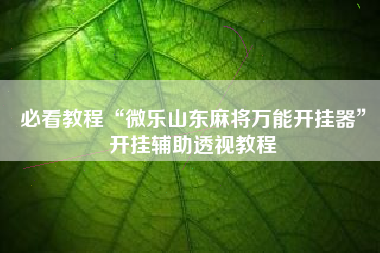 必看教程“微乐山东麻将万能开挂器”开挂辅助透视教程