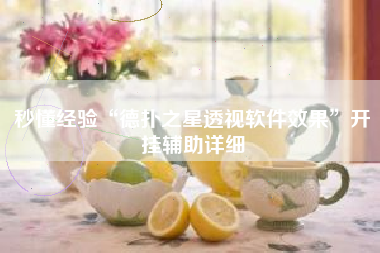 秒懂经验“德扑之星透视软件效果”开挂辅助详细