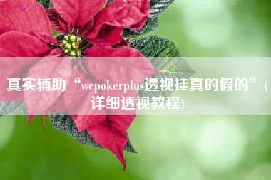 真实辅助“wepokerplus透视挂真的假的”(详细透视教程)