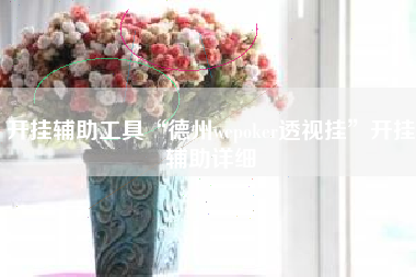 开挂辅助工具“德州wepoker透视挂”开挂辅助详细
