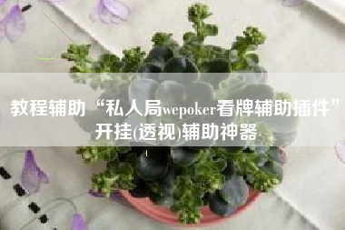 教程辅助“私人局wepoker看牌辅助插件	”开挂(透视)辅助神器