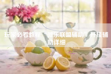 玩家必看教程“微乐联盟辅助	”开挂辅助详细