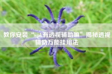 教你安装“wpk有透视辅助嘛	”揭秘透视辅助万能挂用法