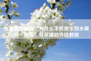 分享实测辅助“为什么手机微乐划水麻将一直输	”分享辅助外挂教程