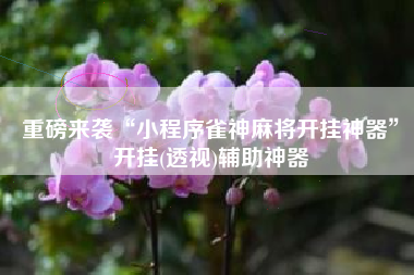 重磅来袭“小程序雀神麻将开挂神器”开挂(透视)辅助神器