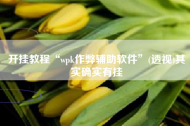 开挂教程“wpk作弊辅助软件”(透视)其实确实有挂