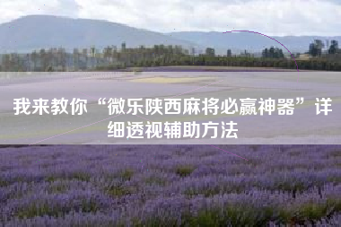 我来教你“微乐陕西麻将必赢神器”详细透视辅助方法