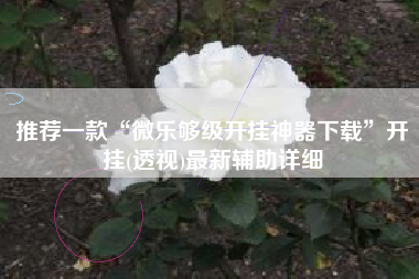 推荐一款“微乐够级开挂神器下载”开挂(透视)最新辅助详细