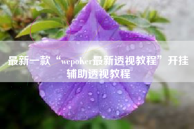 最新一款“wepoKer最新透视教程”开挂辅助透视教程