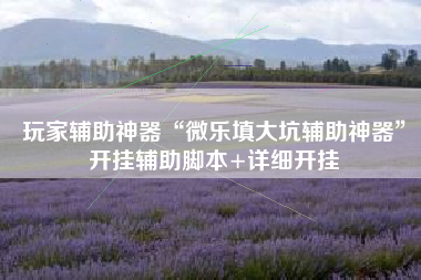 玩家辅助神器“微乐填大坑辅助神器	”开挂辅助脚本+详细开挂