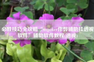 必胜技巧全攻略“wepoker作弊辅助挂透视软件”辅助软件教程(透视)
