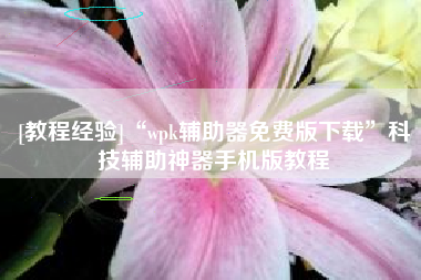 [教程经验]“wpk辅助器免费版下载	”科技辅助神器手机版教程