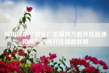 可用版本“微乐广东麻将万能开挂器通用版”透视开挂辅助教程