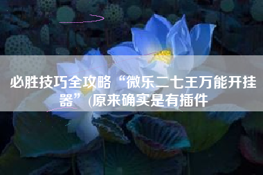 必胜技巧全攻略“微乐二七王万能开挂器	”(原来确实是有插件