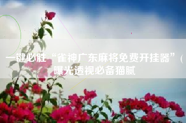 一键必胜“雀神广东麻将免费开挂器”(曝光透视必备猫腻