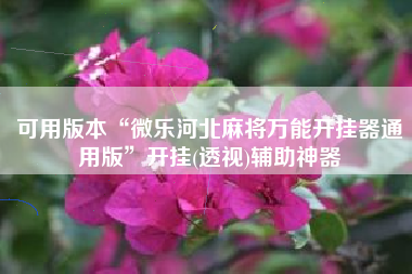 可用版本“微乐河北麻将万能开挂器通用版”开挂(透视)辅助神器