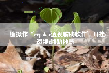 一键操作“wepoker透视辅助软件	”开挂(透视)辅助神器