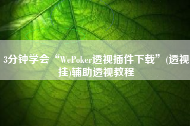 3分钟学会“WePoker透视插件下载	”(透视挂)辅助透视教程