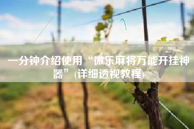 一分钟介绍使用“微乐麻将万能开挂神器	”(详细透视教程)