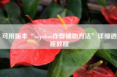 可用版本“wepoker作弊辅助方法	”详细透视教程