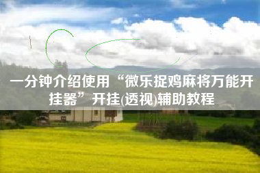 一分钟介绍使用“微乐捉鸡麻将万能开挂器”开挂(透视)辅助教程