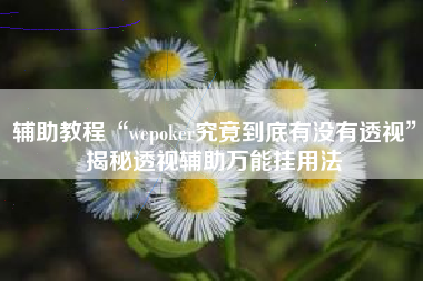 辅助教程“wepoker究竟到底有没有透视”揭秘透视辅助万能挂用法