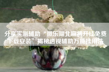 分享实测辅助“微乐湖北麻将开挂免费下载安装”揭秘透视辅助万能挂用法