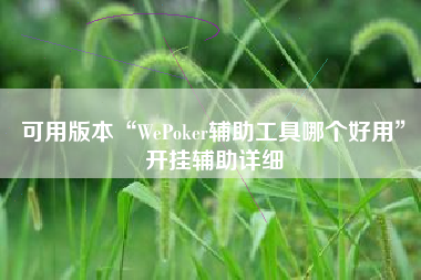 可用版本“WePoker辅助工具哪个好用”开挂辅助详细