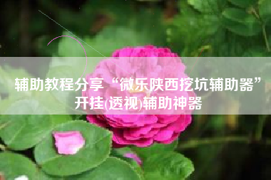 辅助教程分享“微乐陕西挖坑辅助器”开挂(透视)辅助神器