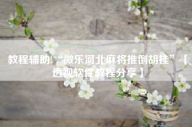 教程辅助!“微乐河北麻将推倒胡挂	”【透视软件教程分享】