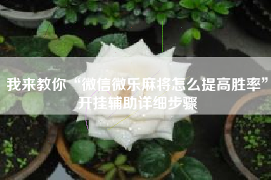 我来教你“微信微乐麻将怎么提高胜率”开挂辅助详细步骤