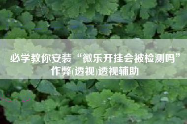 必学教你安装“微乐开挂会被检测吗	”作弊(透视)透视辅助