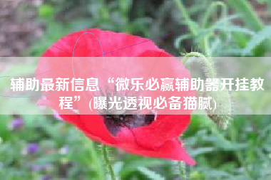 辅助最新信息“微乐必赢辅助器开挂教程	”(曝光透视必备猫腻)