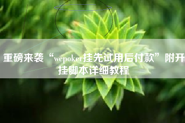重磅来袭“wepoker挂先试用后付款	”附开挂脚本详细教程
