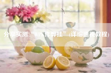 分享实测“WPK作弊挂	”(详细透视教程)