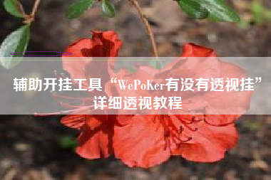 辅助开挂工具“WePoKer有没有透视挂”详细透视教程