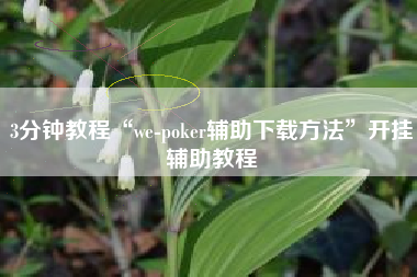 3分钟教程“we-poker辅助下载方法”开挂辅助教程