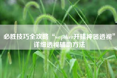 必胜技巧全攻略“wepoker开挂神器透视”详细透视辅助方法