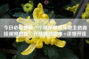 今日必看教程“小程序微乐斗地主透视挂视频教程	”开挂辅助脚本+详细开挂