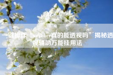 一键操作“wePoker真的能透视吗	”揭秘透视辅助万能挂用法