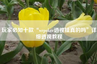 玩家必知十款“wrpoker透视挂真的吗”详细透视教程