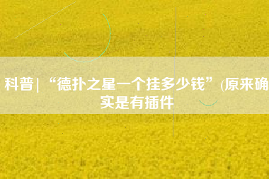 科普|“德扑之星一个挂多少钱”(原来确实是有插件