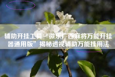 辅助开挂工具“微乐广西麻将万能开挂器通用版”揭秘透视辅助万能挂用法