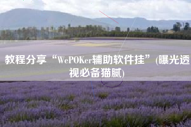 教程分享“WePOKer辅助软件挂	”(曝光透视必备猫腻)