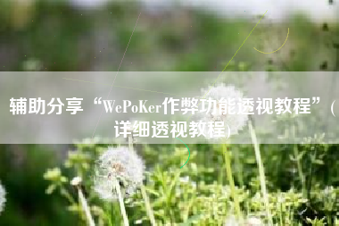 辅助分享“WePoKer作弊功能透视教程	”(详细透视教程)