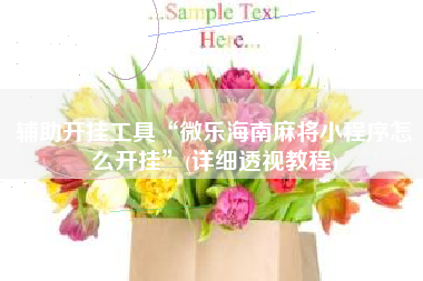 辅助开挂工具“微乐海南麻将小程序怎么开挂”(详细透视教程)