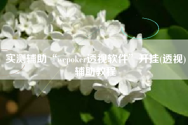 实测辅助“wepoker透视软件”开挂(透视)辅助教程