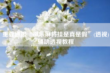 重要通报“微乐麻将挂是真是假”(透视)辅助透视教程