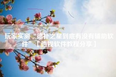 玩家实测“德扑之星到底有没有辅助软件”【透视软件教程分享】