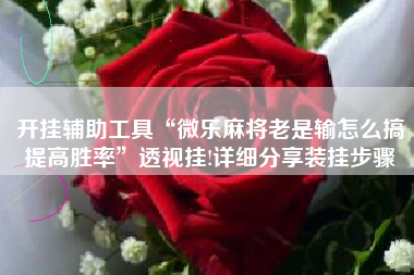 开挂辅助工具“微乐麻将老是输怎么搞提高胜率”透视挂!详细分享装挂步骤